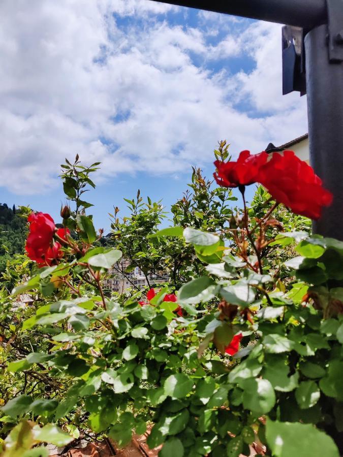 Tra Sole & Mare Apartman Zoagli Kültér fotó